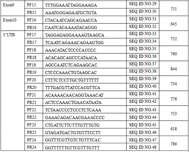 Primer group for detecting BMPR1B gene mutation, purpose of primer group and kit containing primer group
