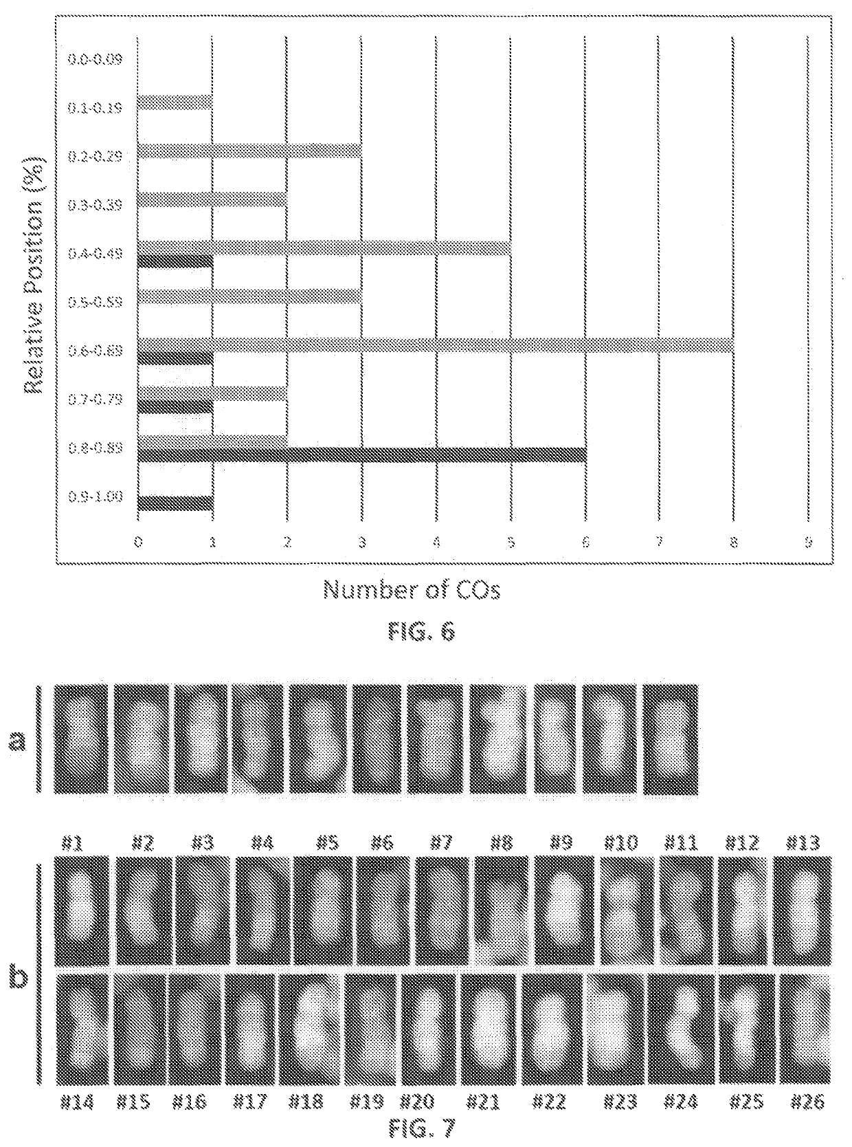 Genetic system for promoting recombination and gene transfer in wheat