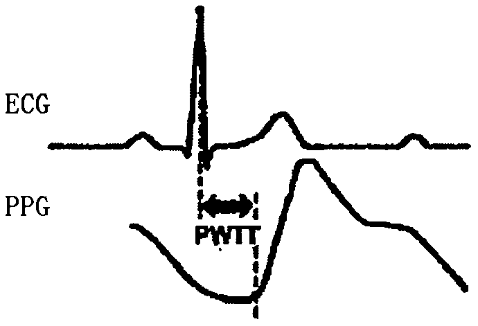 Blood pressure parameter detection method and user terminal