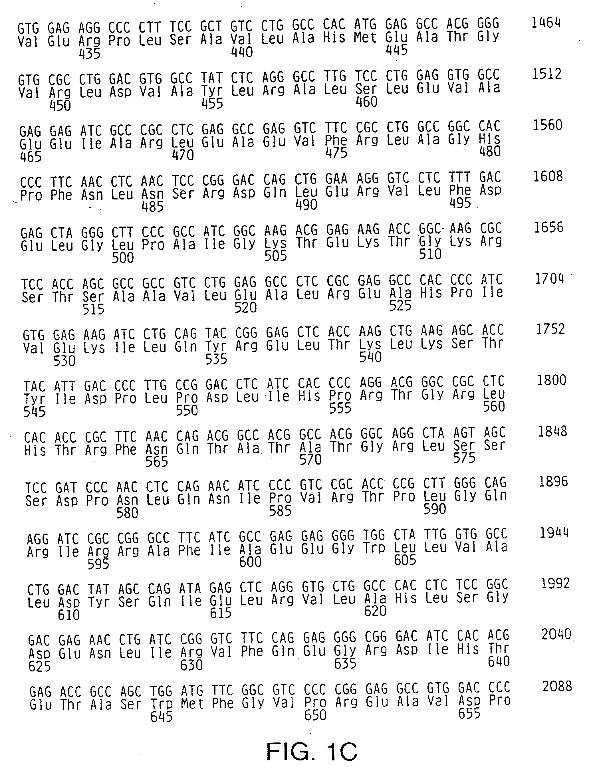 Thermostable polymerases having altered fidelity and methods of identifying and using same