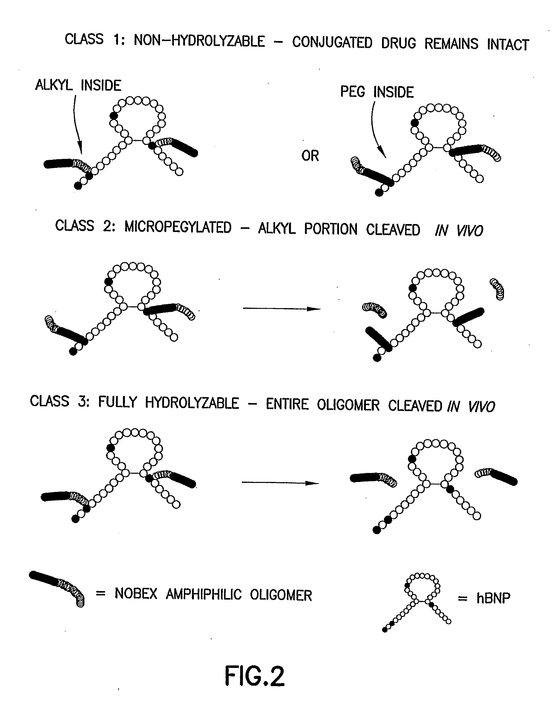 Bna Conjugates and Methods of Use
