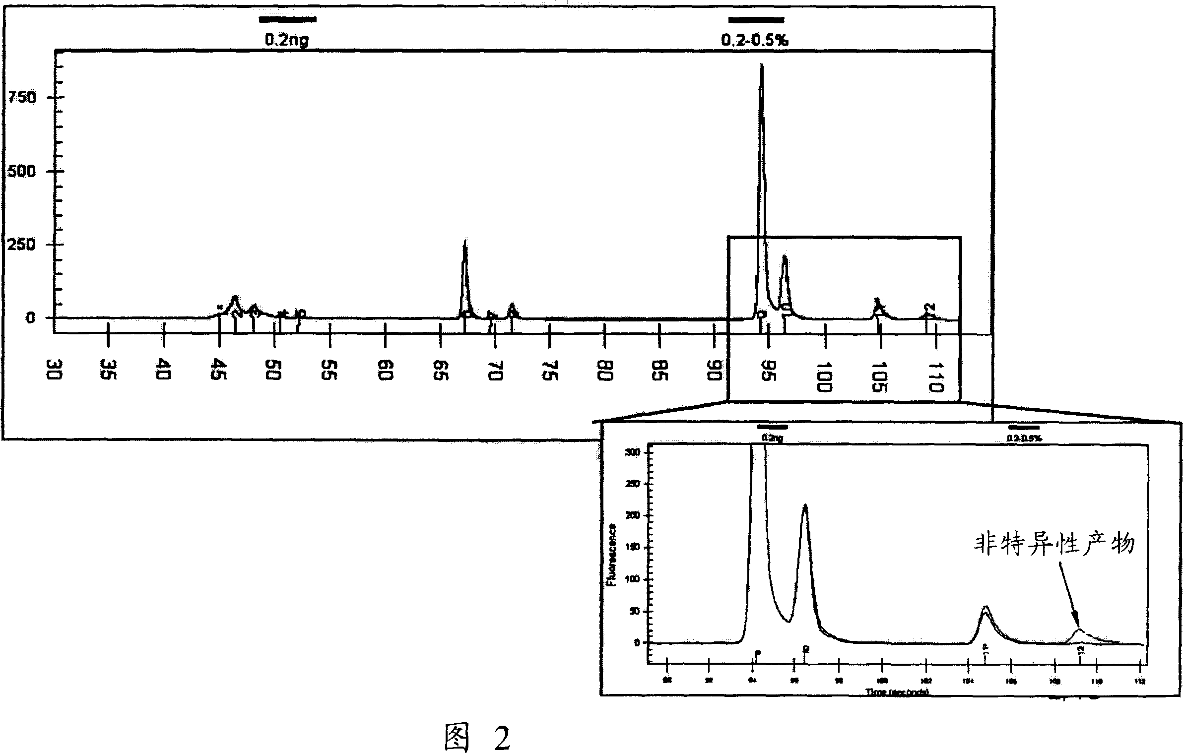 Method of increasing specificity of nucleic acid hybridization using zwitterionic compound