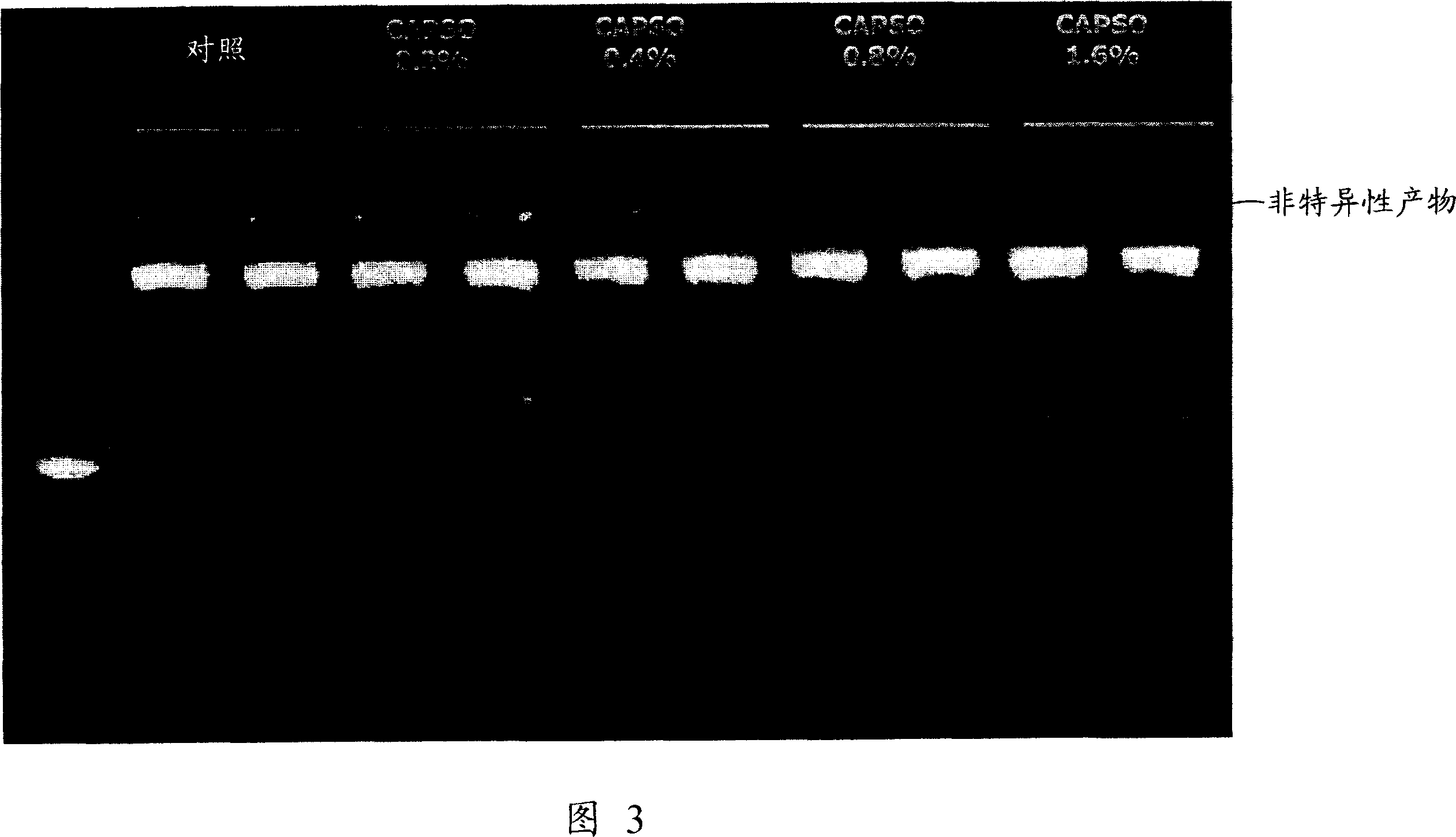 Method of increasing specificity of nucleic acid hybridization using zwitterionic compound