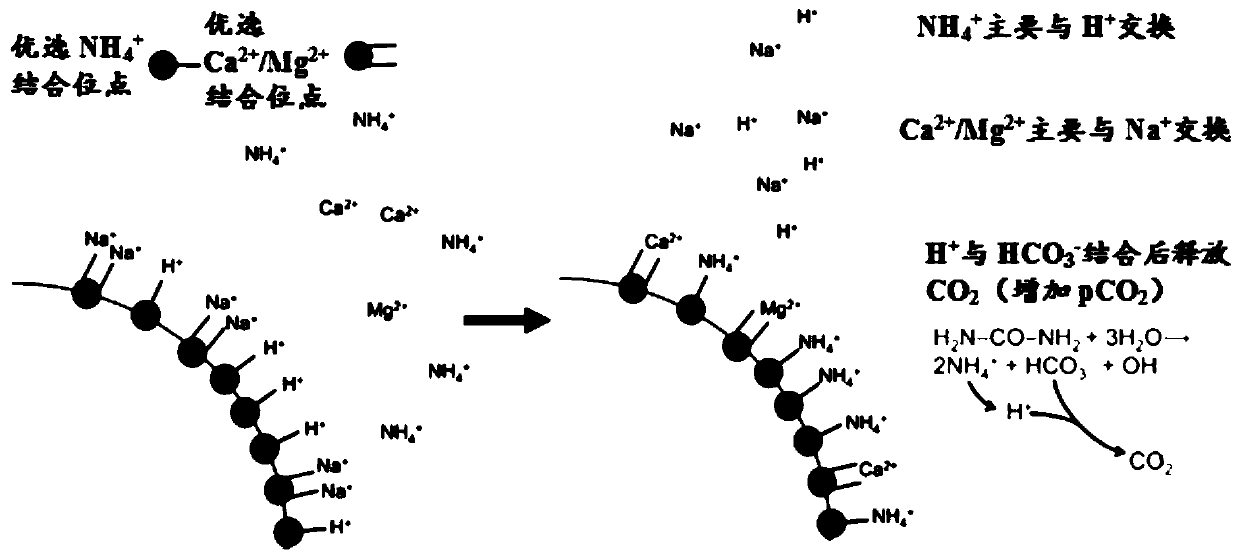 Sorbent for dialysis device and dialysis system