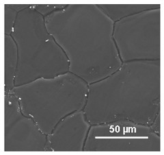 Heat treatment process for improving strength and plasticity of magnesium alloy