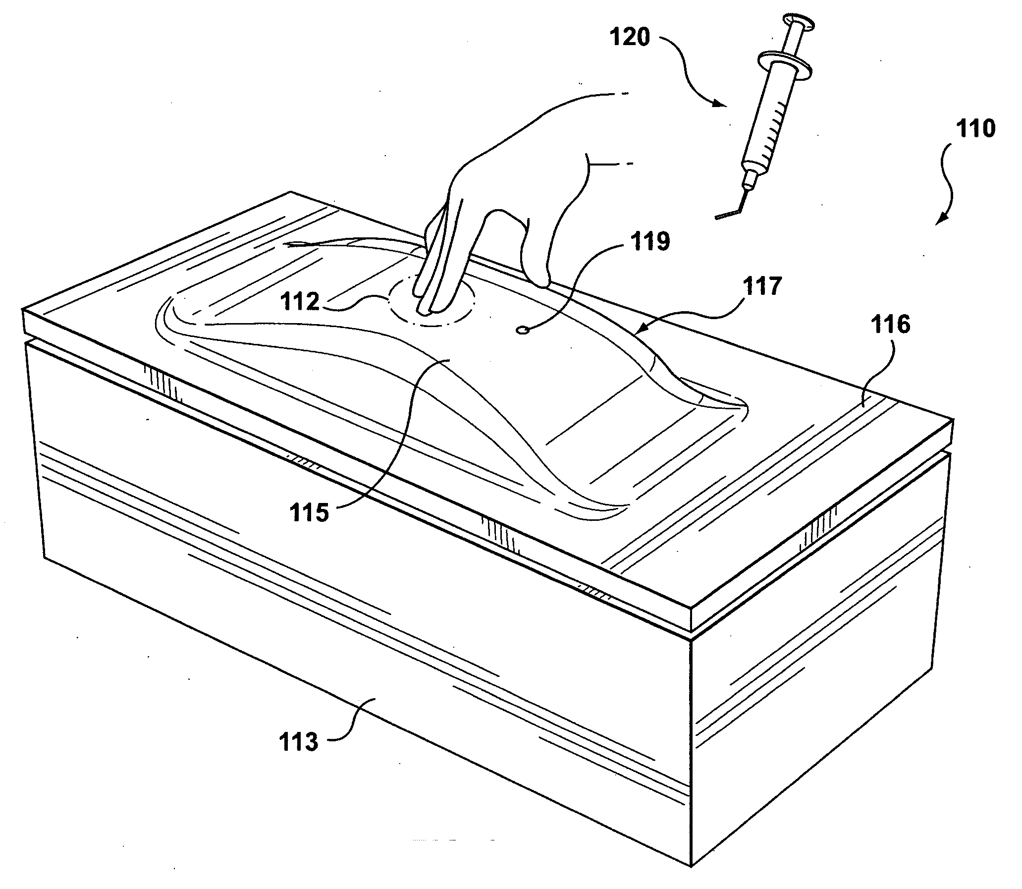 System for Displaying and Interacting With Palpatable Feature