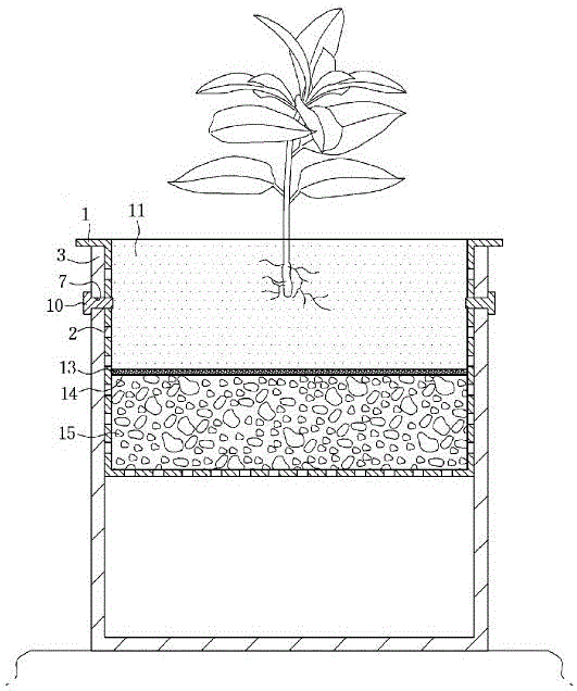 Height-adjustable dual plant cultivation management apparatus for root zone environment improvement