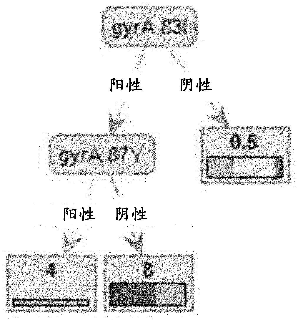 Methods and systems for determining antibiotic susceptibility