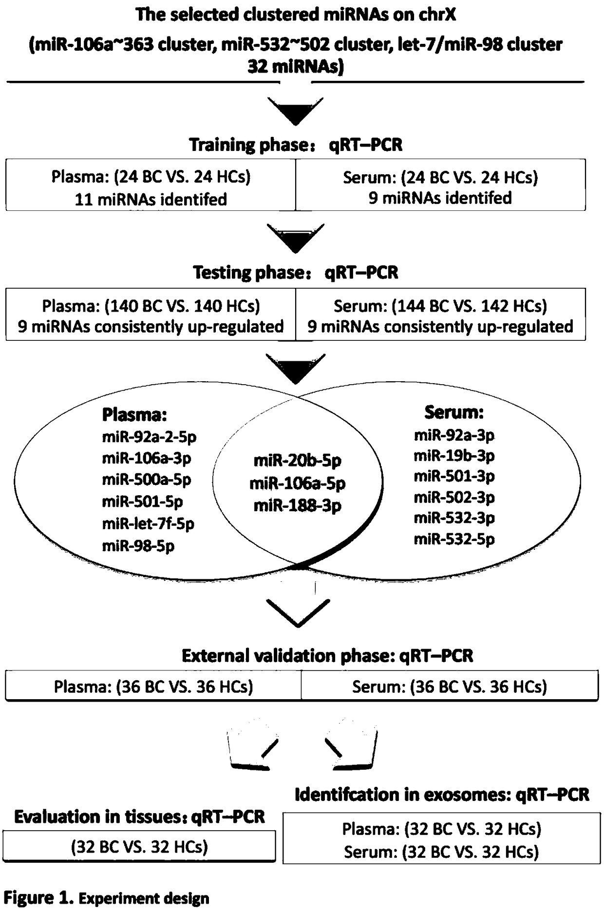 Circulating miRNA (micro Ribonucleic Acid) marker related to breast cancer auxiliary diagnosis and located on X chromosome and application thereof