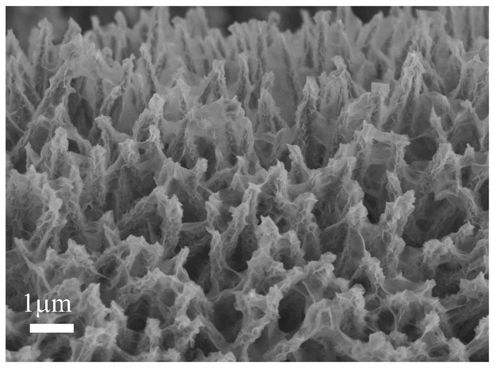 Flexible core-shell heterostructure positive electrode material and preparation method and application thereof