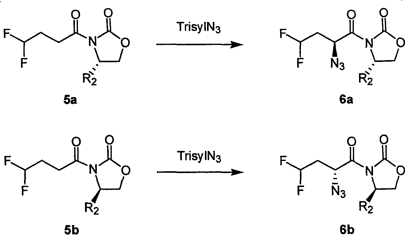 Process for preparing 4.4-difluoro-2-amino butyric acid with optical activity and ester thereof