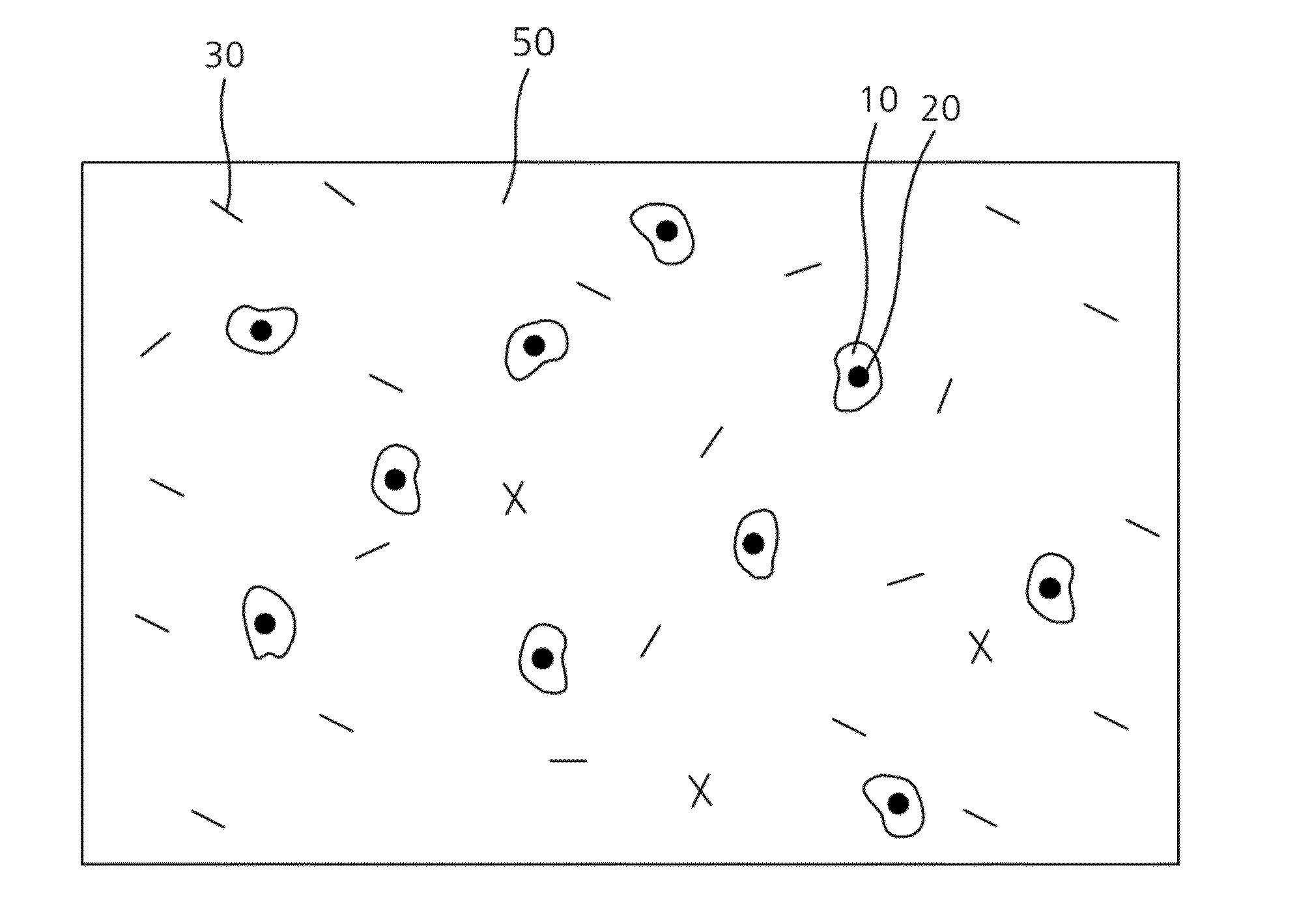 Composite and Molded Product Thereof