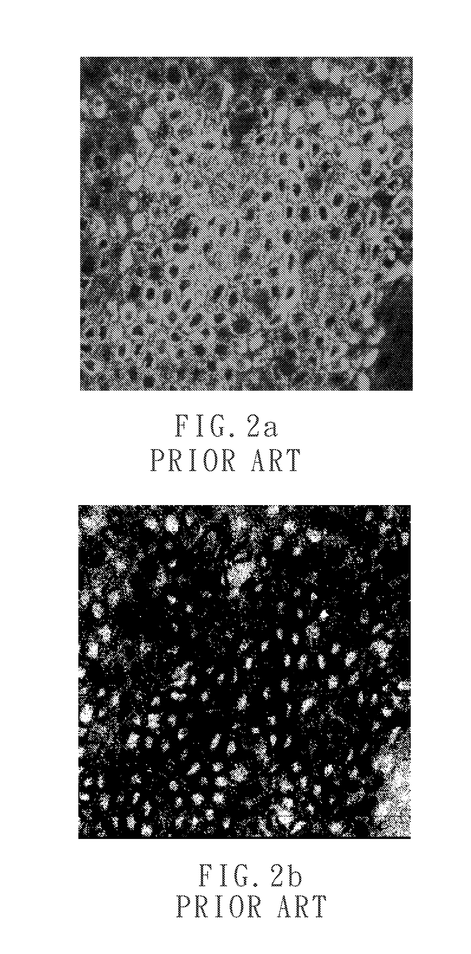 Cell image segmentation method and a nuclear-to-cytoplasmic ratio evaluation method using the same