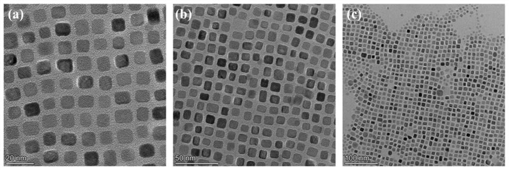 Self-assembled super-flexible piezoelectric sensor and preparation method and application thereof