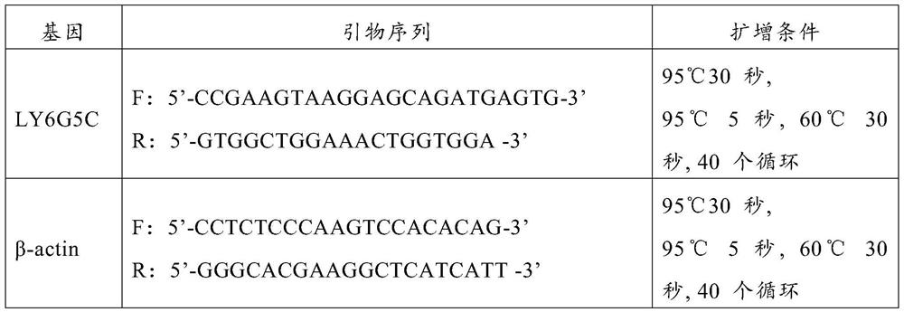 Use of ly6g5c gene as molecular marker for diagnosis of heavy ion radiation exposure