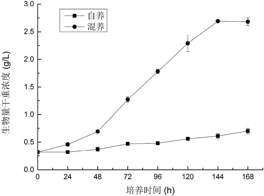 Method for producing fucoxanthin through light culture of nitzchia laevis