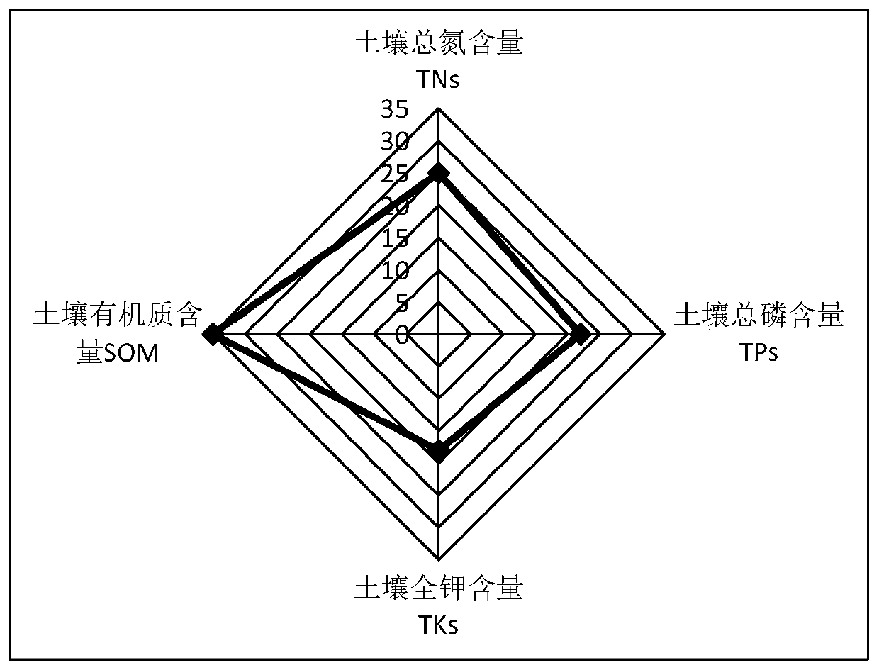 Water and soil conservation measure ecological service function evaluation method
