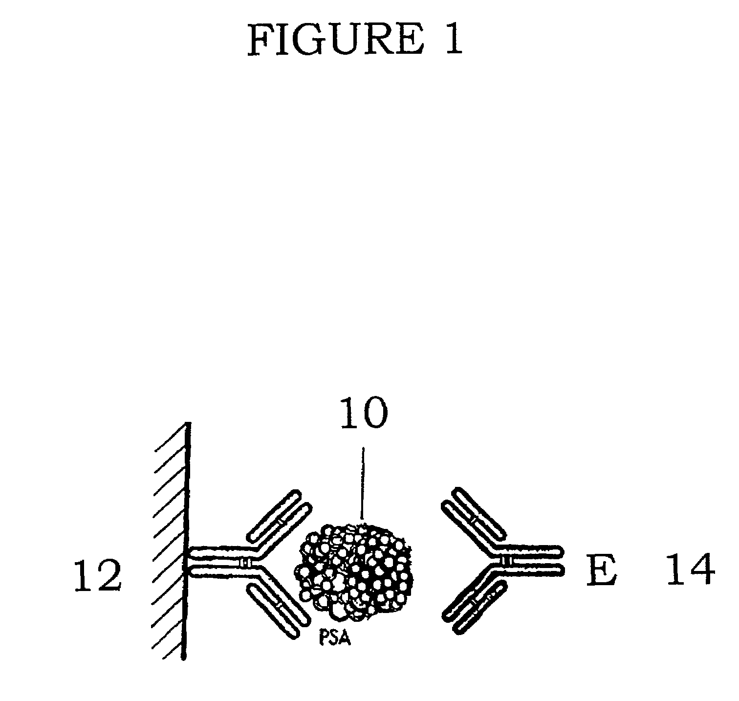 Methods and devices for detecting non-complexed prostate specific antigen
