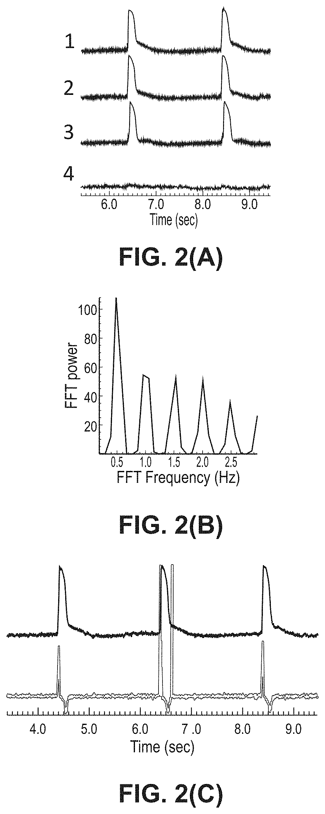 A human in vitro cardiotoxicity model