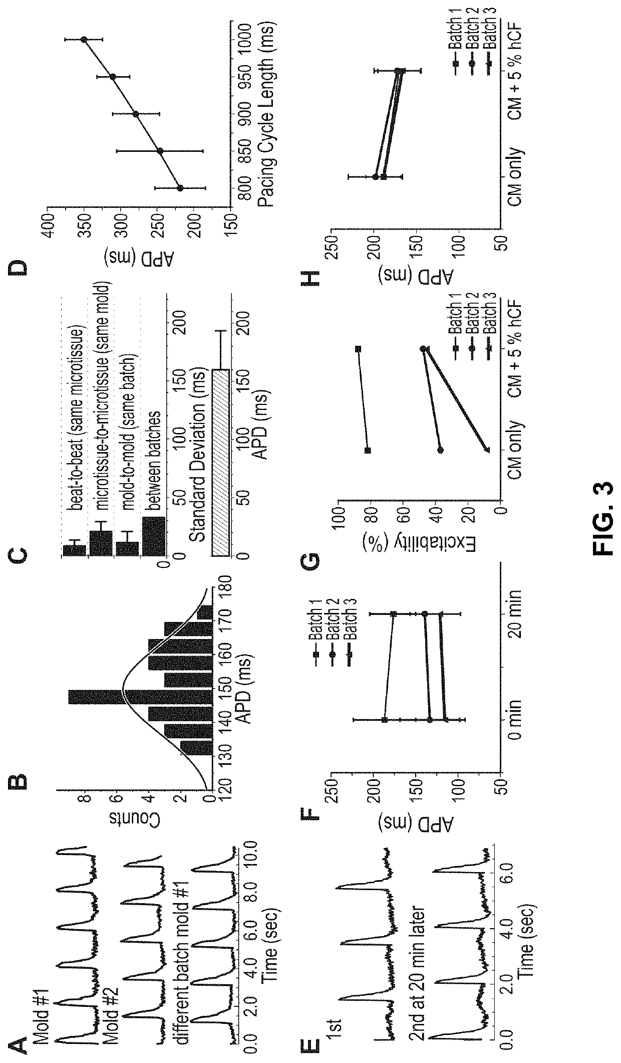 A human in vitro cardiotoxicity model