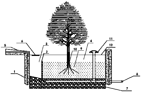 A kind of tree box filter and using method thereof