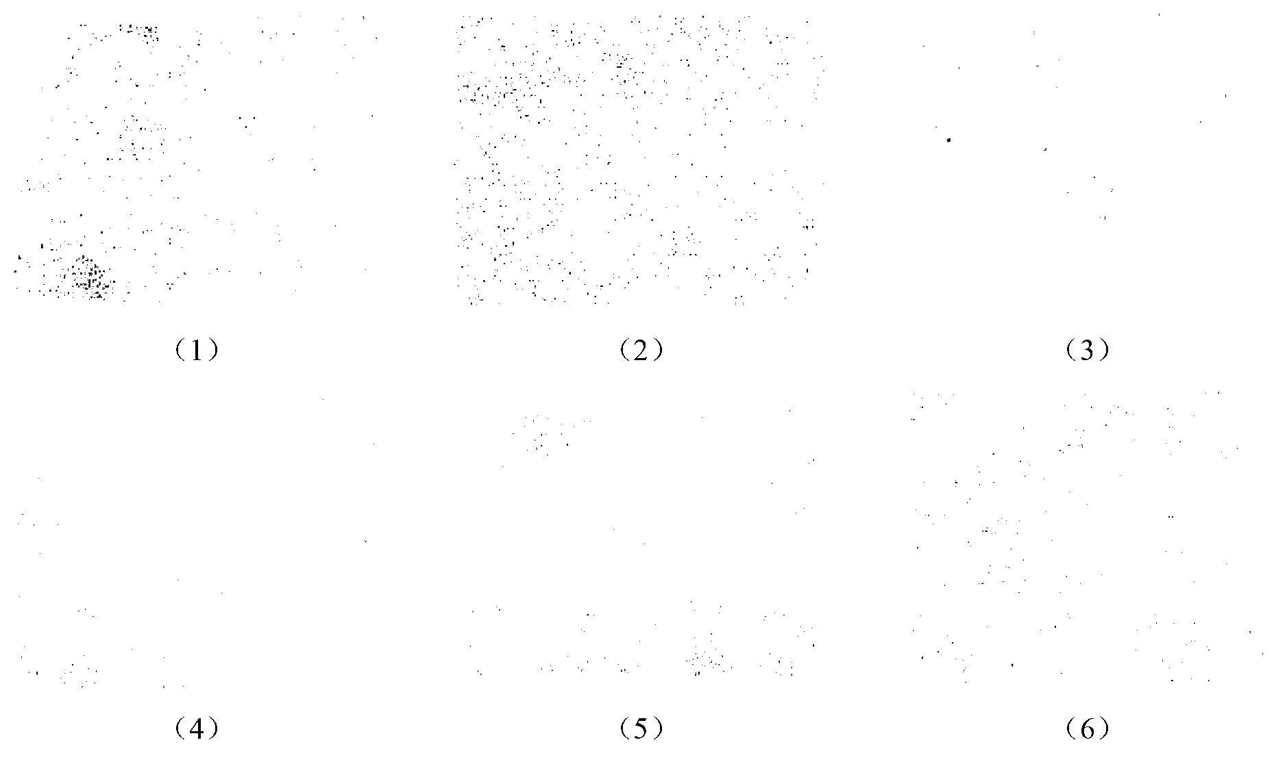 Compound medicine having radiation resisting and protecting effects