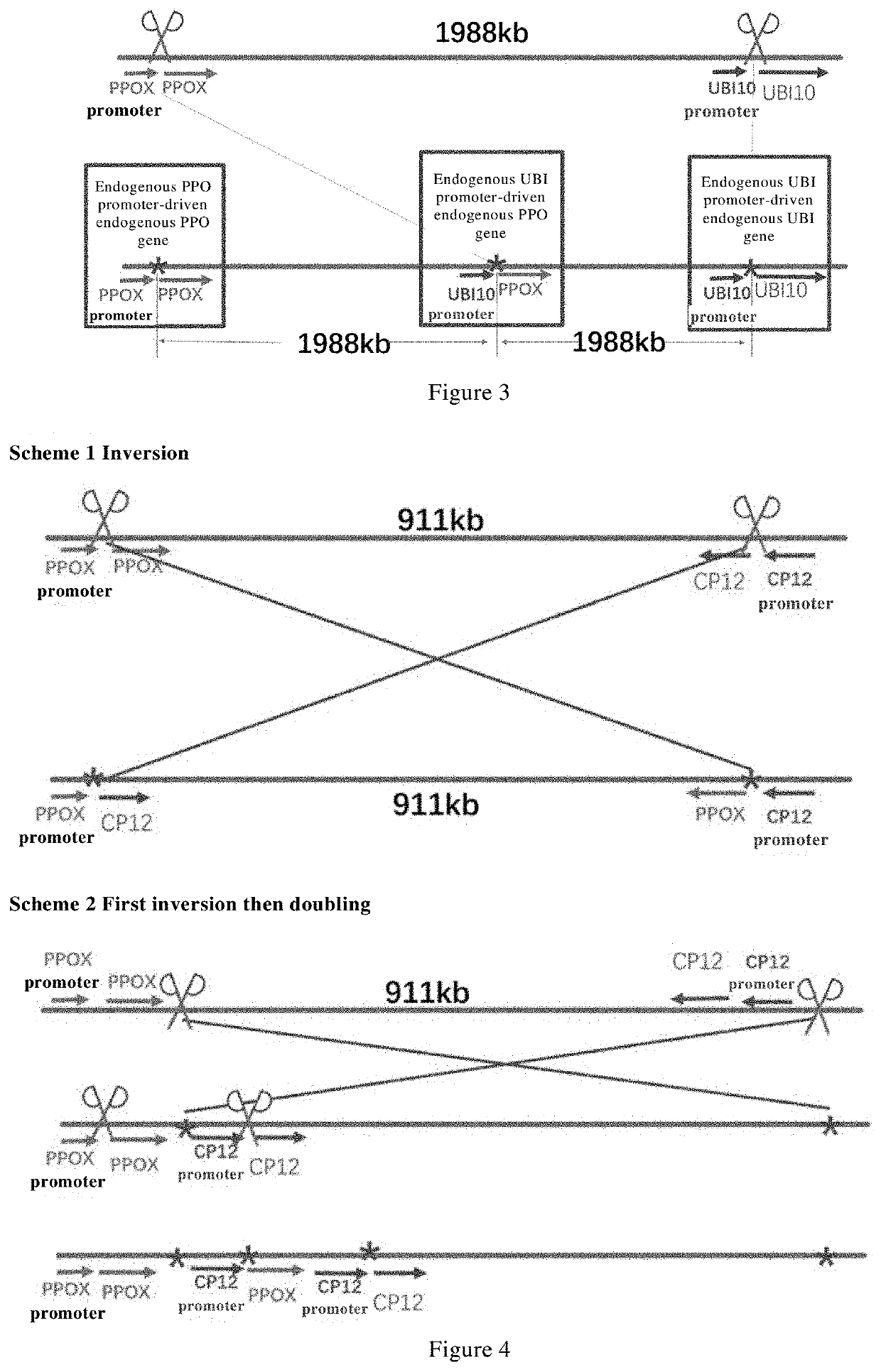 Methods for generating new genes in organism and use thereof