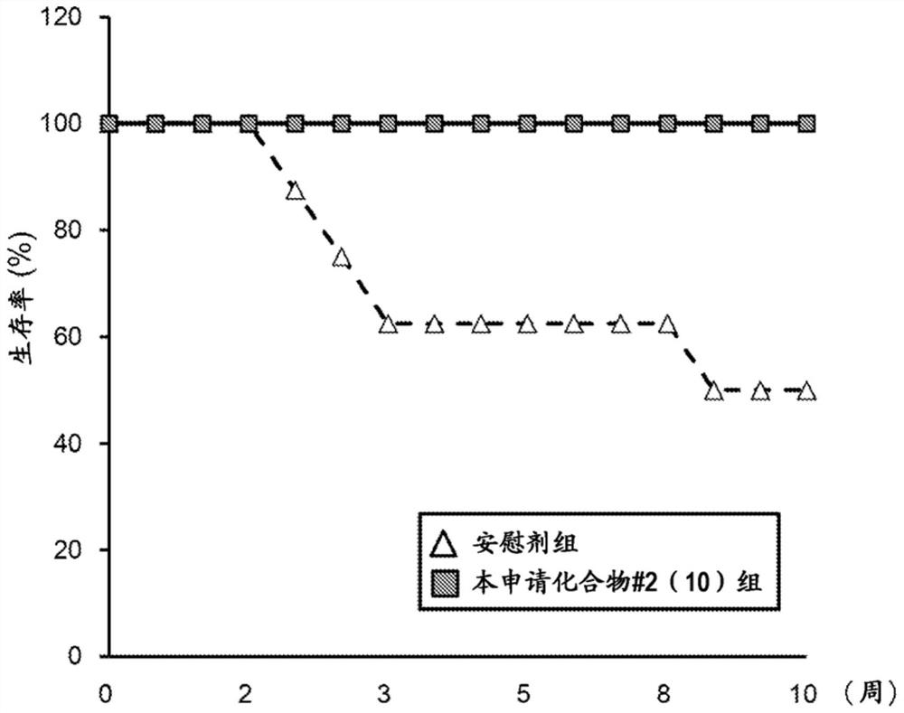 Prophylactic or therapeutic agent for cancer