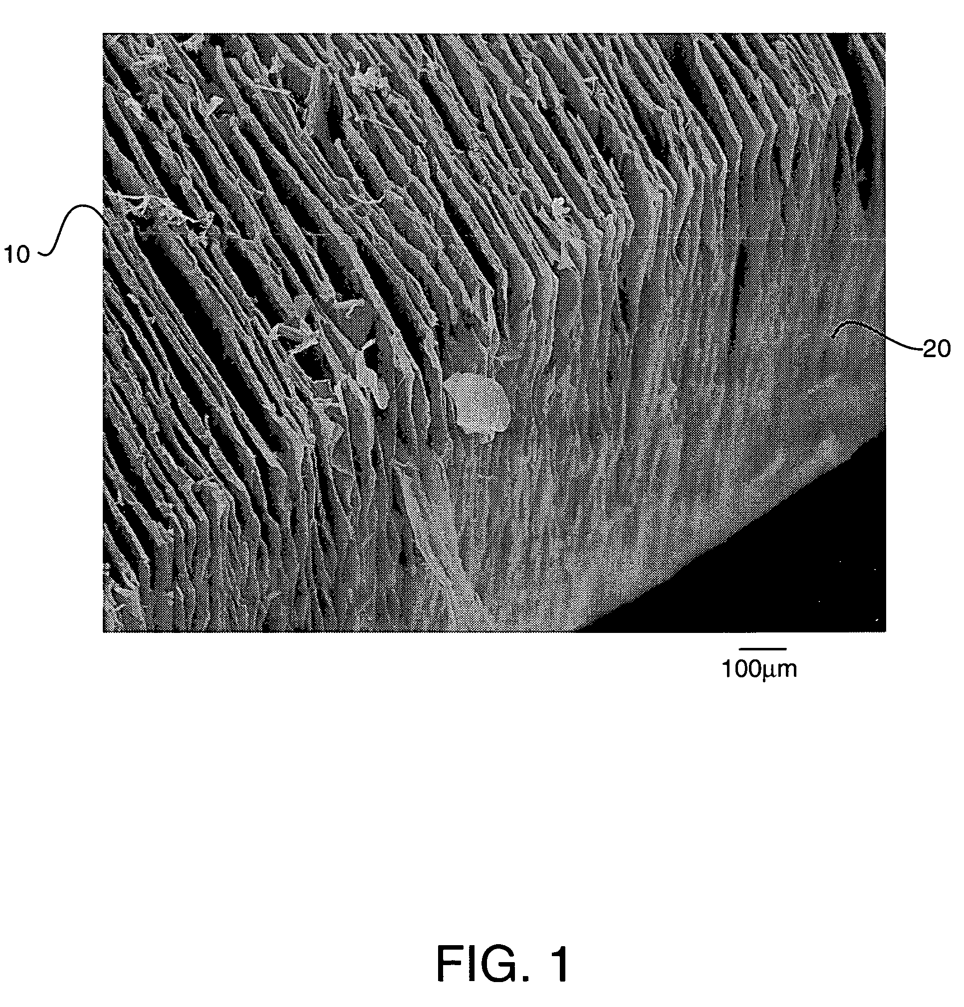 Material, article and method of preparing materials containing oriented anisotropic particles