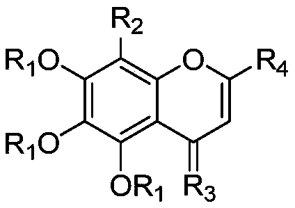 Baicalein derivative as well as preparation method and application thereof