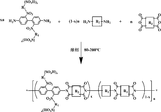 Sulfuryl bridge connection side chain sulfonated polyimide, preparation method thereof and application