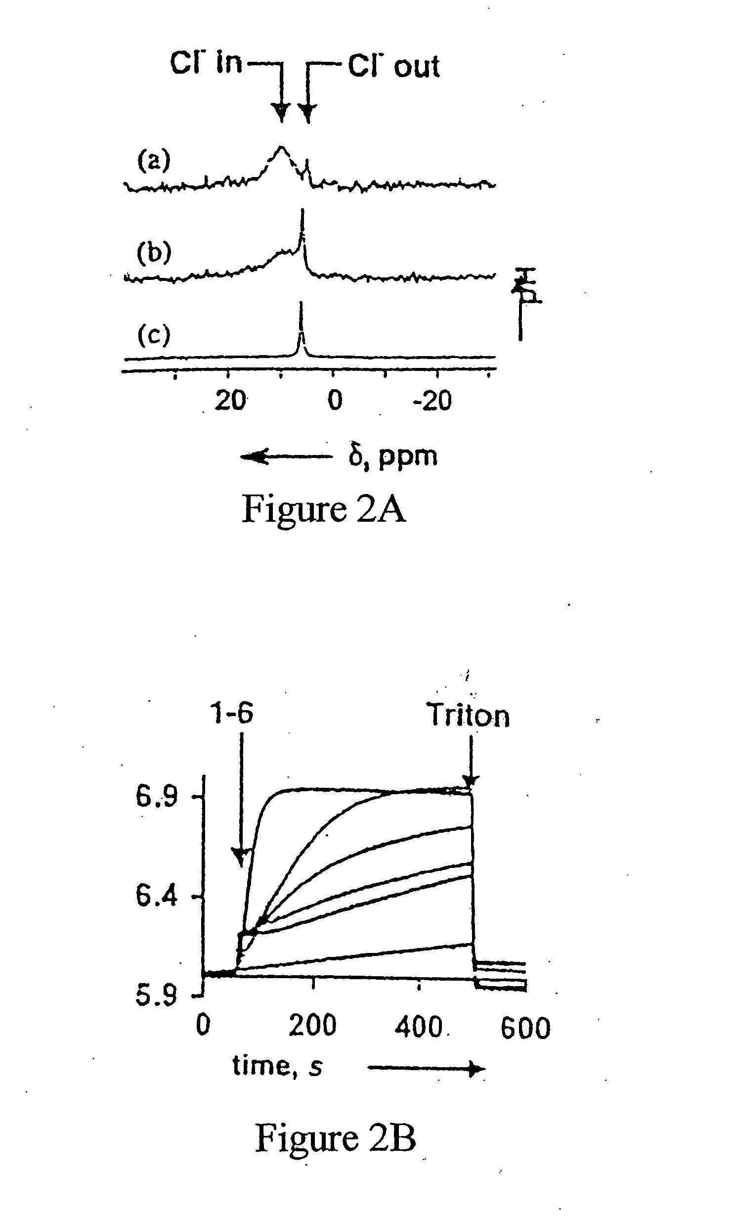 Compounds having aromatic rings and side-chain amide-functionality and a method for transporting monovalent anions across biological membranes using the same