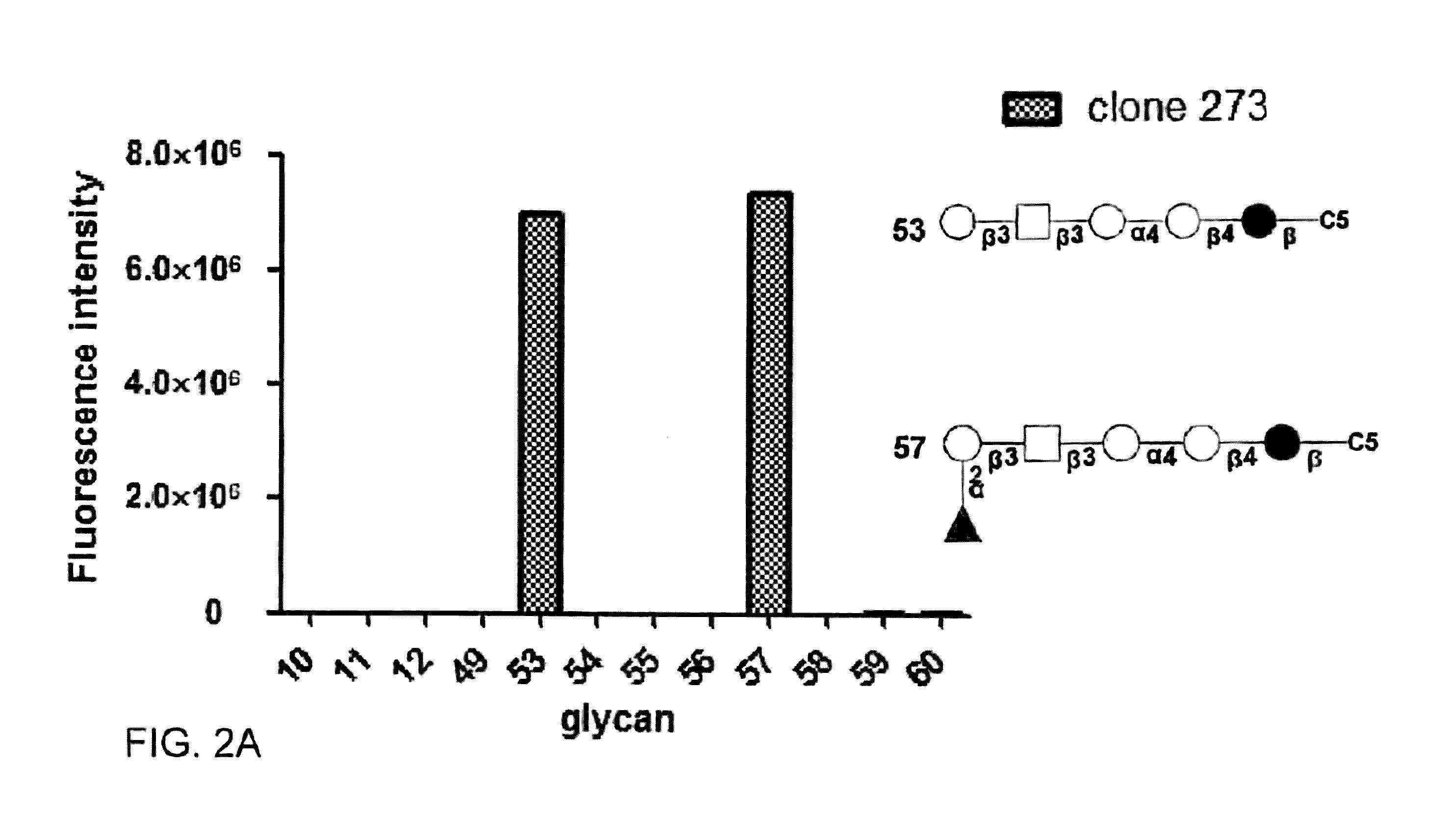 Compositions and methods for treatment and detection of cancers