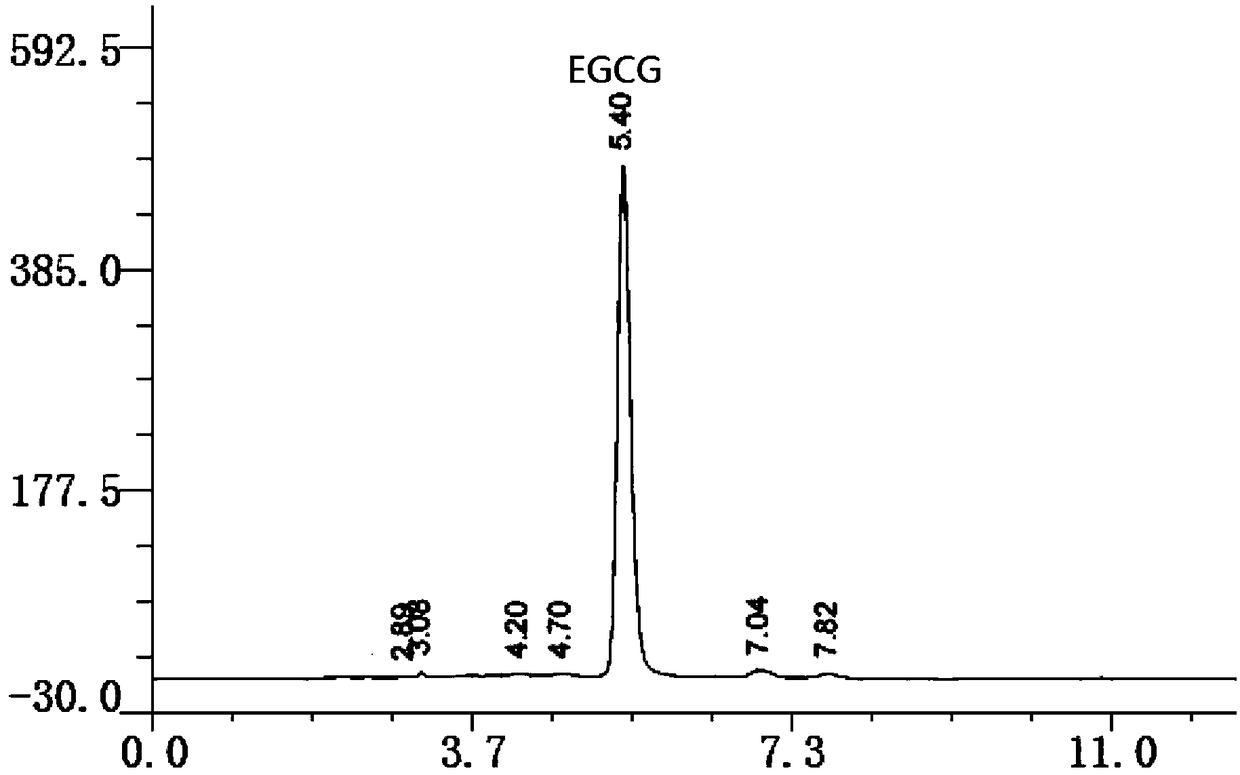 A kind of preparation method of high-purity EGCG