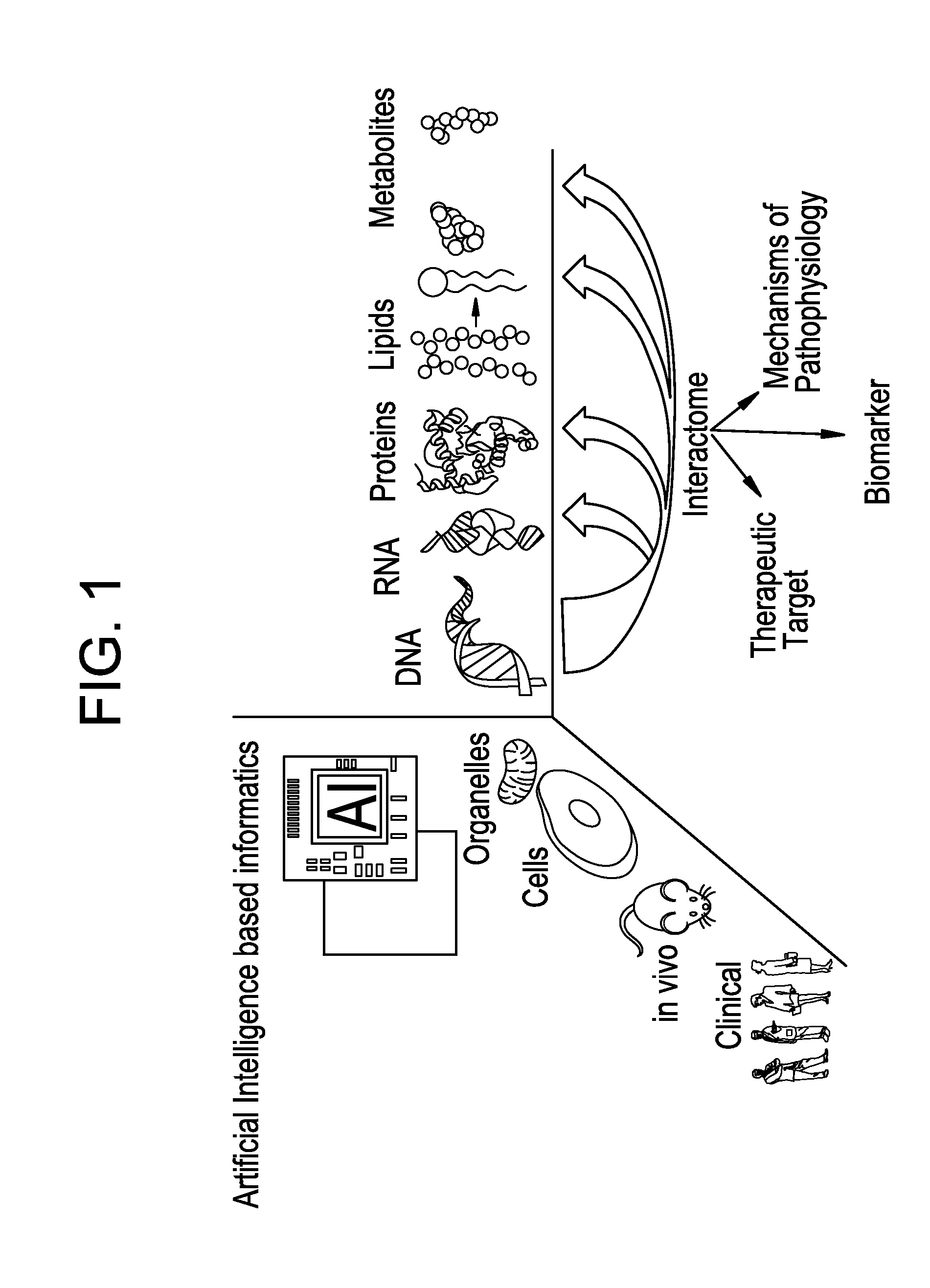 Use of markers in the diagnosis and treatment of prostate cancer