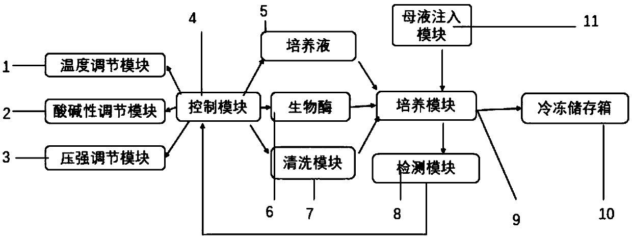 Culture system for mesenchymal stem cells