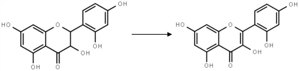 Semi-synthesis method of morin