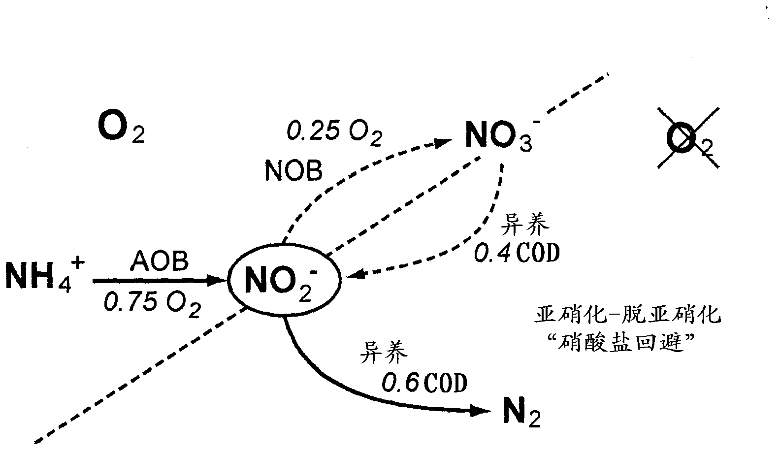 Method for treating water within a sequencing batch reactor, including an in-ine measurement of the nitrite concentration