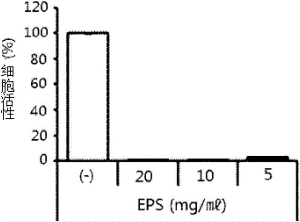 Pharmaceutical composition for preventing or treating cancer containing extracellular polysaccharide produced by ceriporia lacerata as active ingredient