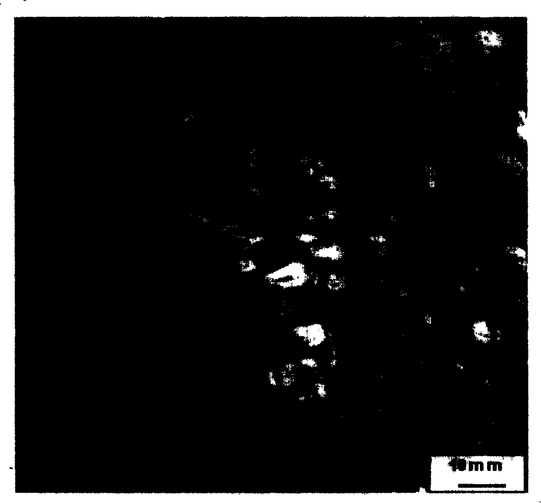 Process for separation and production of titanium-rich materials from titanium-containing blast furnace slag