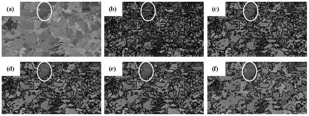 Method for establishing FDTD (Finite Difference Time Domain) ultrasonic detection simulation model of coarse crystal material based on EBSD (Electron Back-Scattered Diffraction) spectrum