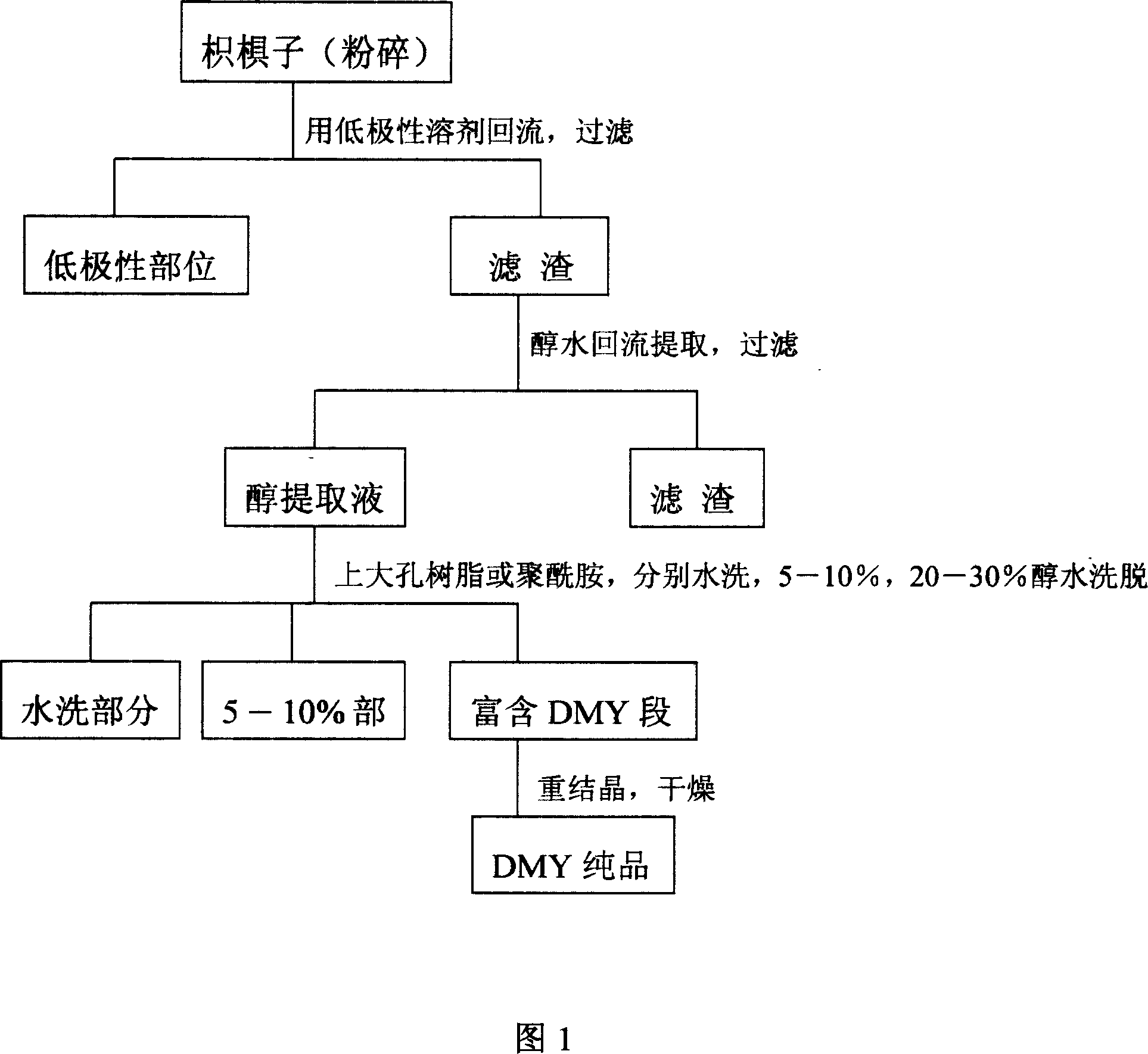 Method for extracting dihydromyricetin from Japanese raisin tree seed
