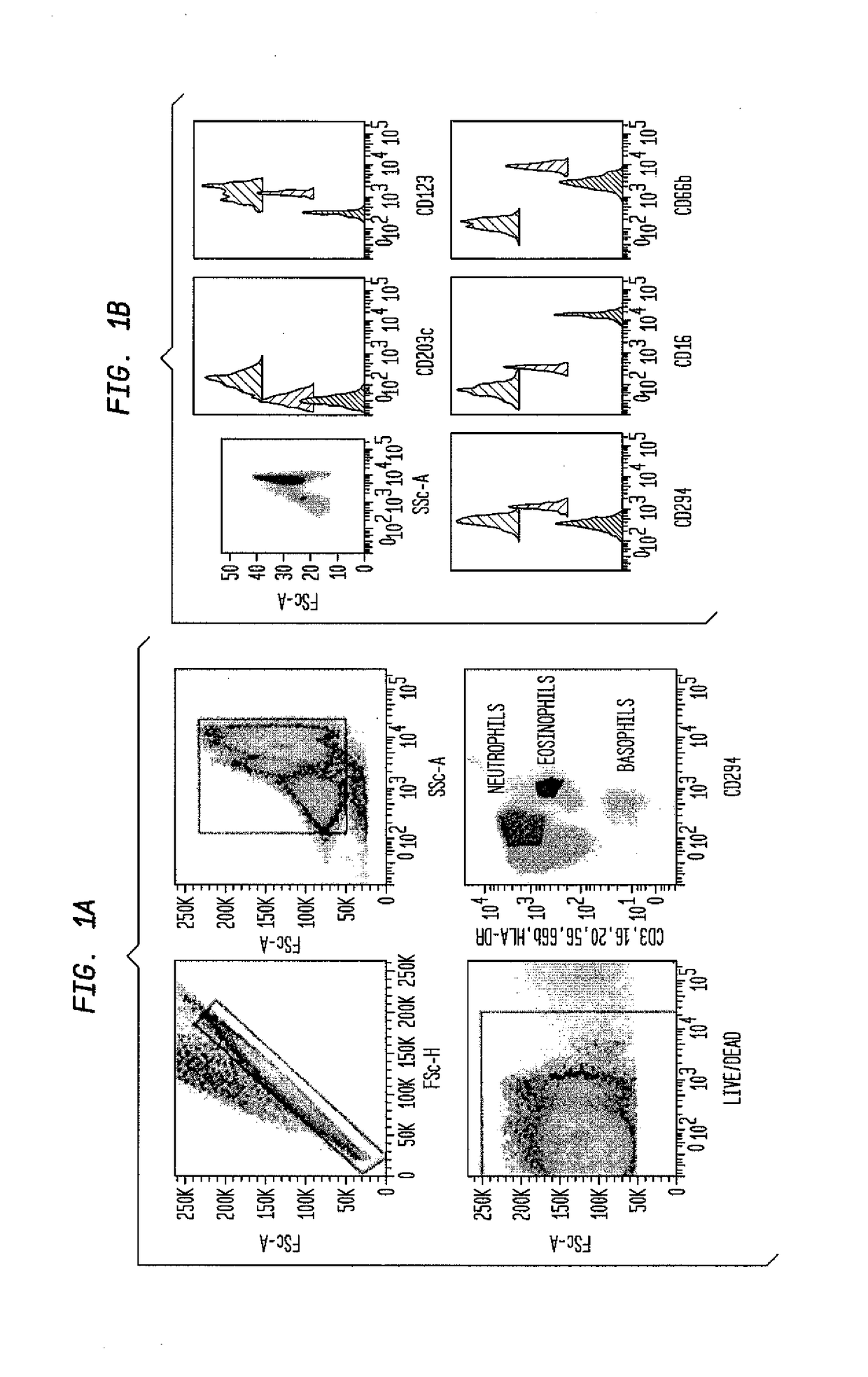 Methods and assays for detecting and quantifying pure subpopulations of white blood cells in immune system disorders