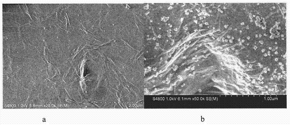 Staphylococcus aureus unmarked electrochemical aptamer sensor based on reduced graphene oxide-nanogold composite material