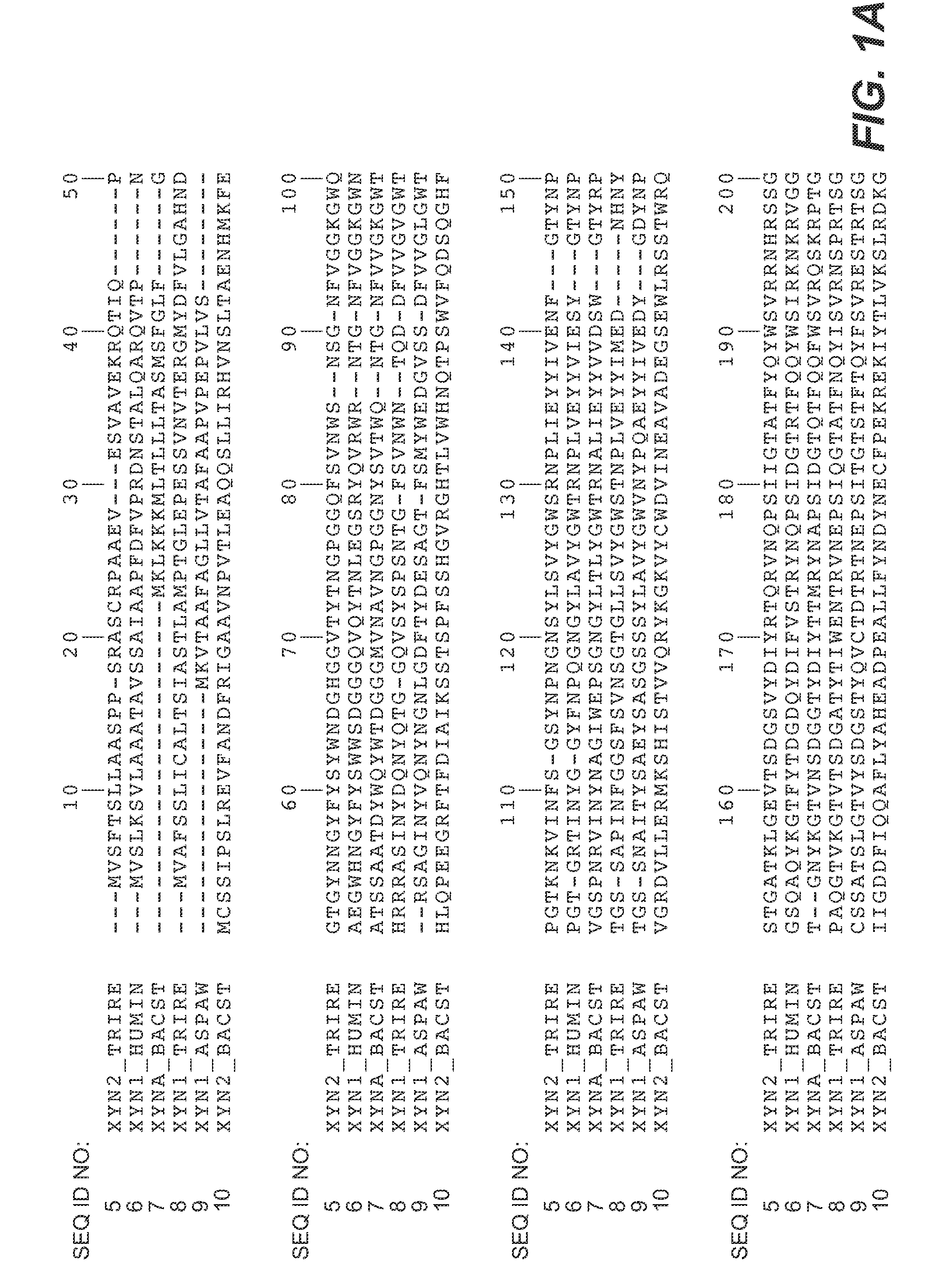 Modified enzymes, methods to produce modified enzymes and uses thereof