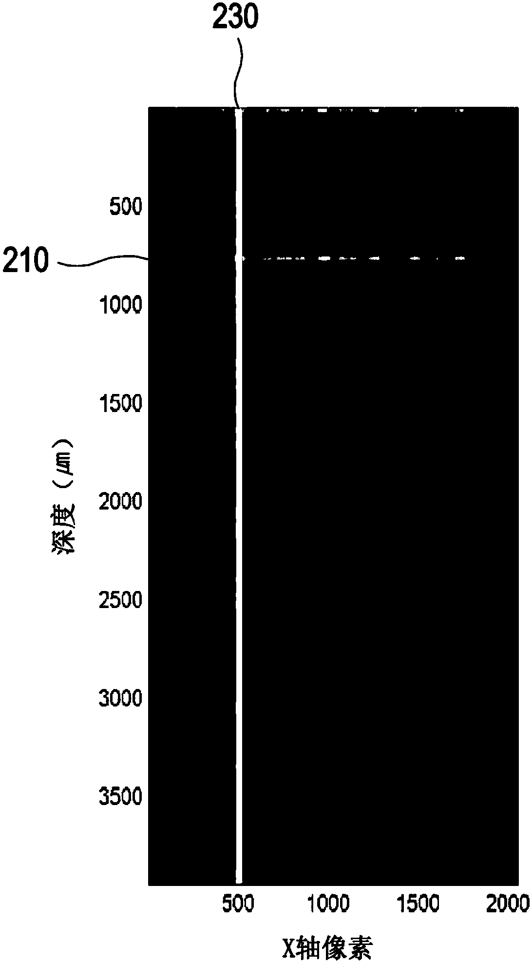 Full-field oct system using wavelength-tunable laser and three-dimensional image correction method