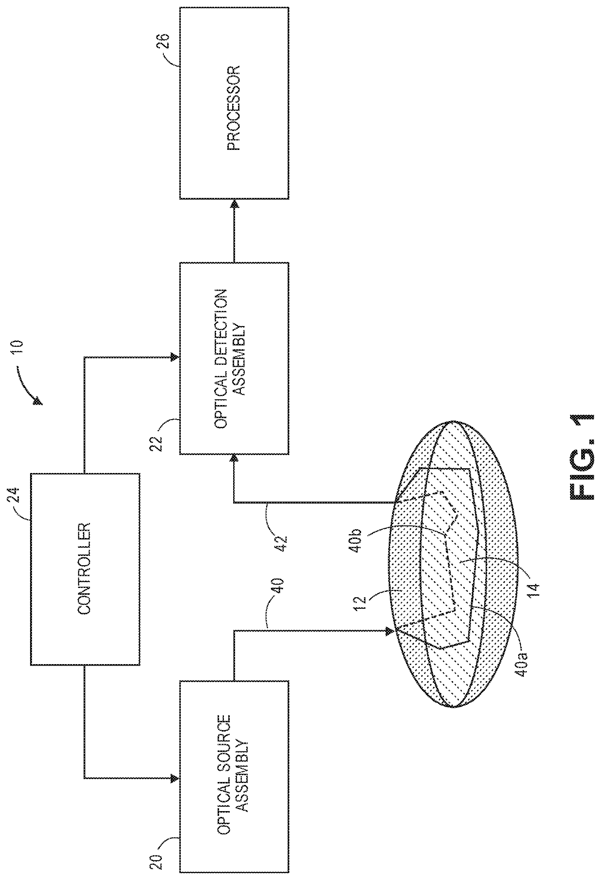 Non-invasive frequency domain optical spectroscopy for neural decoding