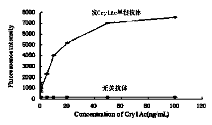 Coding gene of anti-Cry1Ac toxin single-chain variable fragments (scFv) and immuno-polymerase chain reaction (PCR) detection method