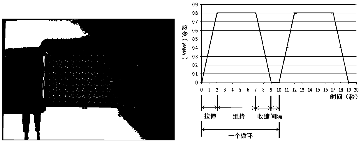 Method for efficiently promoting proliferation of primary cell of nucleus pulposus and secretion of extracellular matrix based on biomechanical effect