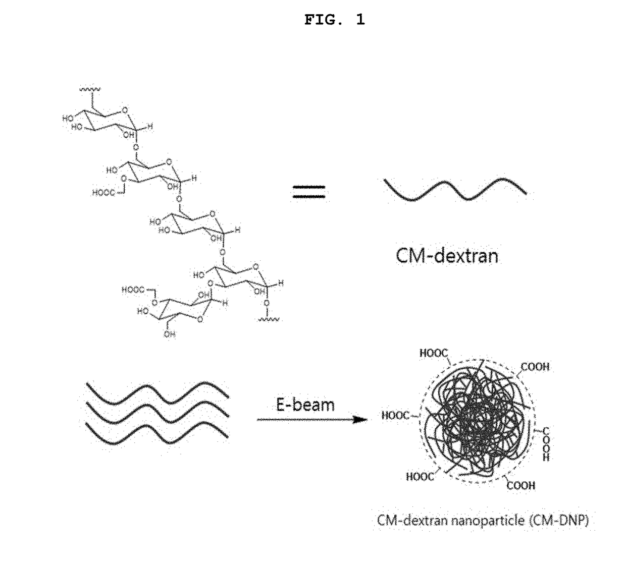 Biocompatible nanoparticle and use thereof